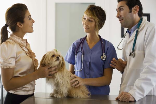 Gadgets And Devices Used By Veterinarians