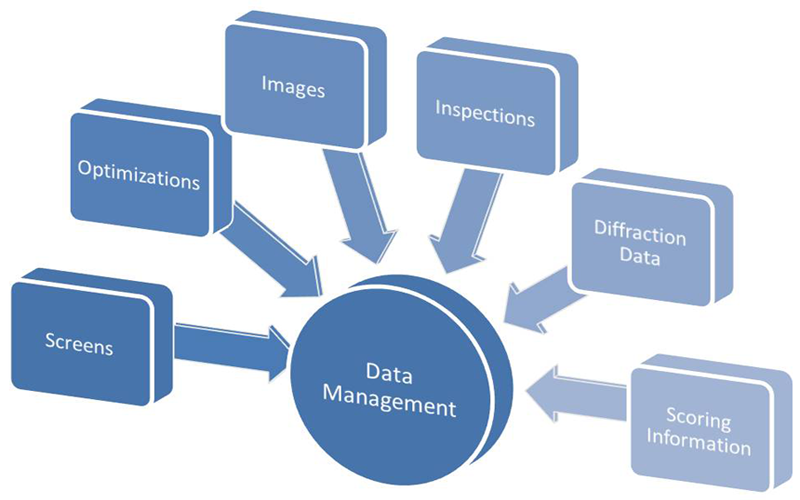 How Data Management Software Can Keep Your Companies Organized and Secured