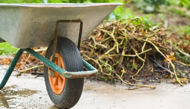 Ways You Can Reuse Yard Waste In Your Landscaping Business